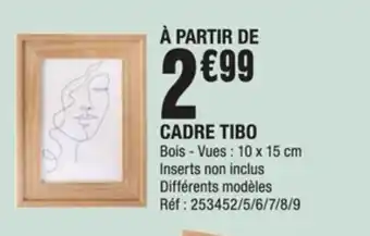 La Foir'Fouille Cadre Tibo offre