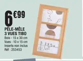 La Foir'Fouille Pele-Mele 3 Vues Tibo offre