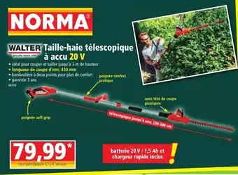 Norma Walter Taille-Haie Télescopique à Accu offre