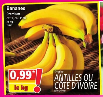 Norma Bananes offre