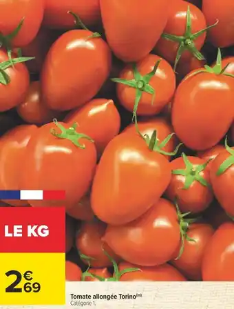 Tomate allongée torino
