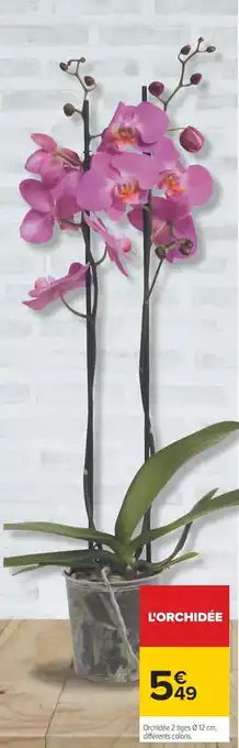 Carrefour Orchidée offre