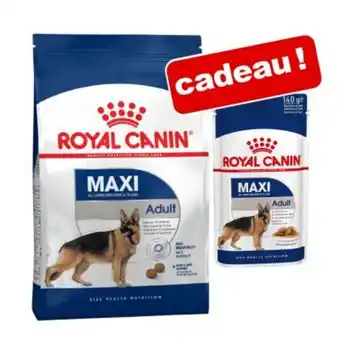 Zooplus Croquettes royal canin size 8 / 15 kg + sachets 12/10 x 85/140 g offerts ! offre