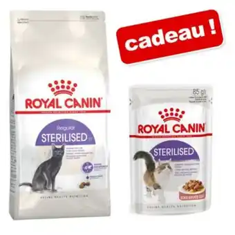 Zooplus Croquettes royal canin 10 kg + 12 x 85 ou 195 g de nourriture humide offerte ! offre