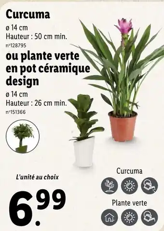 Lidl Curcuma offre