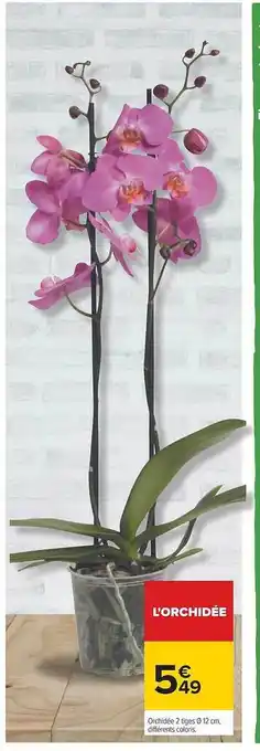 Carrefour Orchidée offre