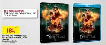 Les animaux fantastiques : les secrets de dumbledore warner