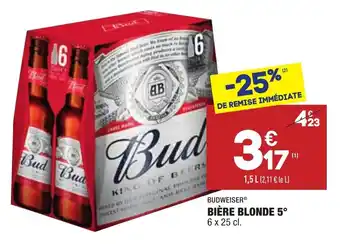 ALDI Bière blonde 5 offre