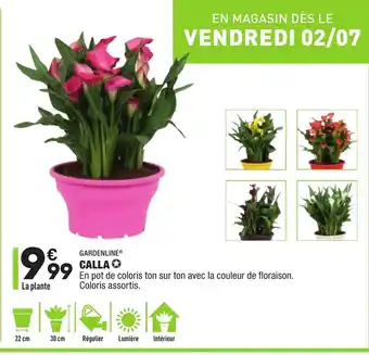 ALDI Calla offre