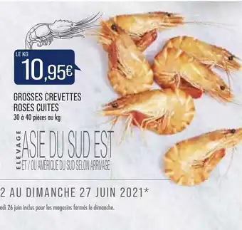 Match Grosses crevettes roses cuites offre