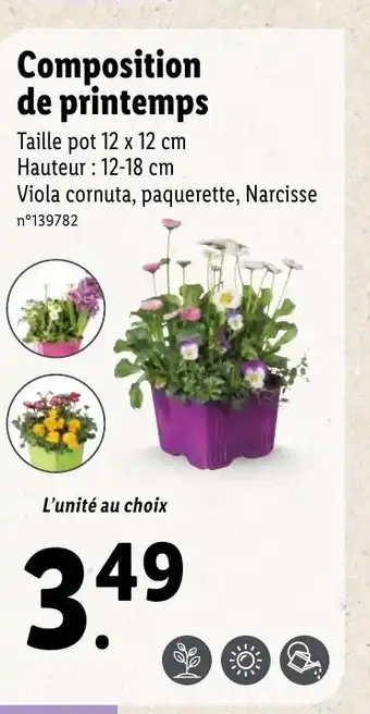 Lidl Composition de printemps offre