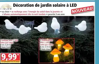 Norma Décoration de jardin solaire à LED offre