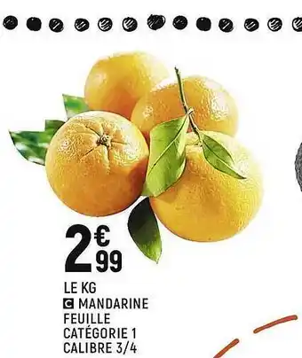 Spar Mandarine Feuille offre