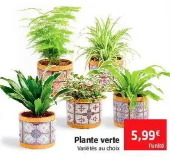 Colruyt Plante verte offre