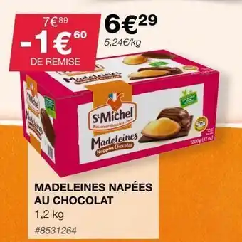 Madeleine st michel