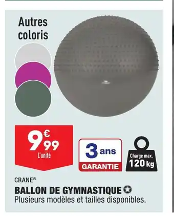 ALDI Ballon De Gymnastique offre