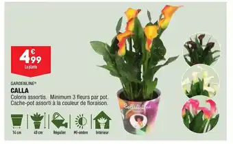 Calla
