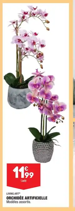 ALDI Orchidée Artificielle offre