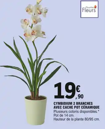 E.Leclerc Cymbidium 2 branches avec cache pot céramique offre