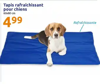 Action Tapis Rafraîchissant Pour Chiens offre