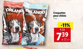 Croquettes pour chiens