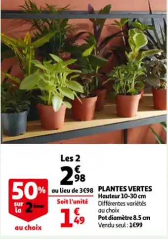 Auchan Plantes vertes offre