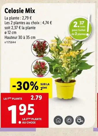 Lidl Celosie Mix offre