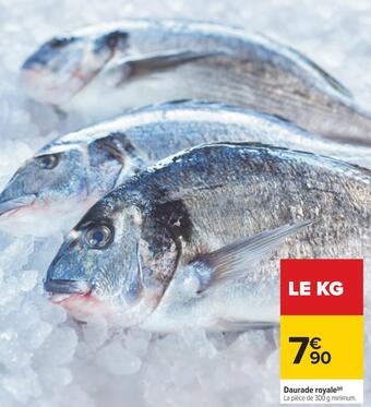 Carrefour Daurade royale offre