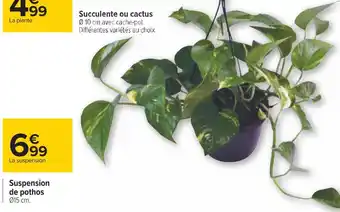 Carrefour Suspension de pothos offre