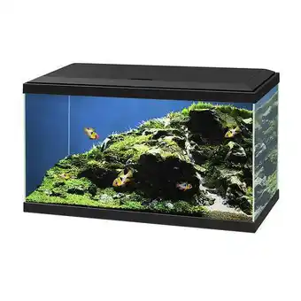 Truffaut Ciano aquarium offre