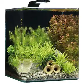 Truffaut Dennerle aquarium nano cube offre