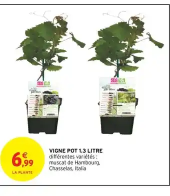 Vigne Pot 1.3litre