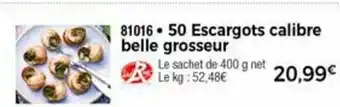 50 Escargots calibre belle grosseur