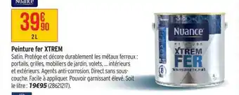 Bricorama Peinture fer xtrem nuance offre