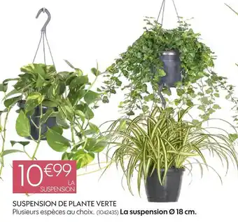 Truffaut Suspension de plante verte offre