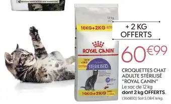 Truffaut Royal canin croquettes chat adulte stérilisé offre