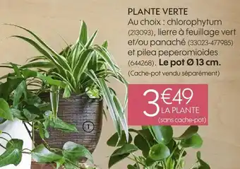 Plante verte