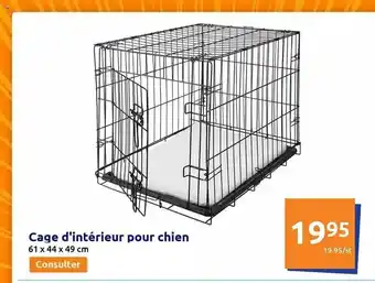 Action Cage d'intérieur pour chien offre