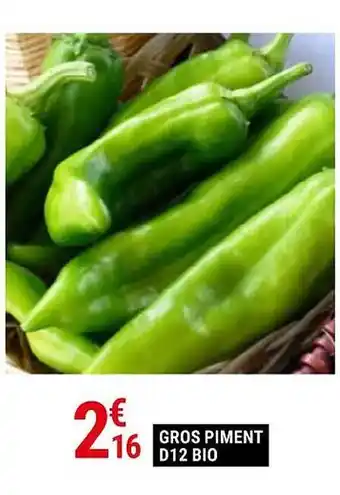 Gamm vert Gros piment d12 bio offre