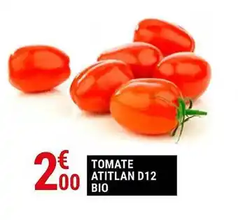 Gamm vert Tomate atitlan d12 bio offre