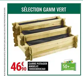 Gamm vert Carré potager angelic 1000x800x360 offre