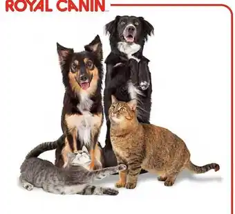Gamm vert Royal canin offre