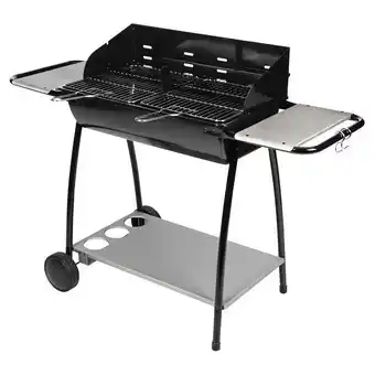 Truffaut Barbecue au charbon de bois dana offre