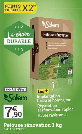 Espace emeraude Pelouse rénovation 1 kg solem offre