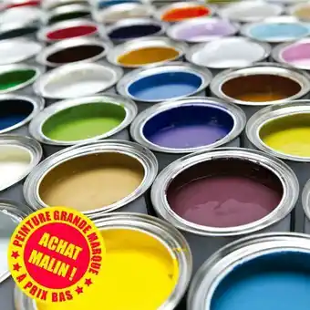 Décor Discount Peinture couleur grandes marques 2,5l offre