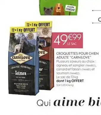 Truffaut Croquettes pour chien adulte offre