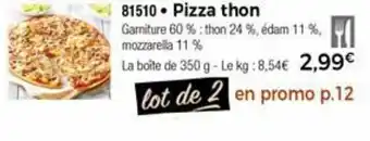 Thiriet Pizza Thon offre