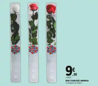 E.Leclerc Rose stabilisée amorosa offre