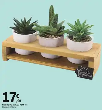 E.Leclerc Centre de table 3 plantes offre