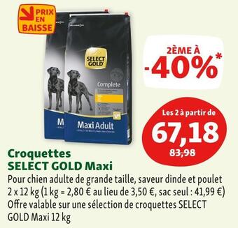 Maxi Zoo Select gold croquettes maxi offre